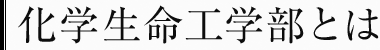 化学生命工学部とは