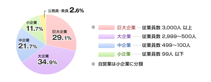 企業規模別就職状況(2010年度/商学部)