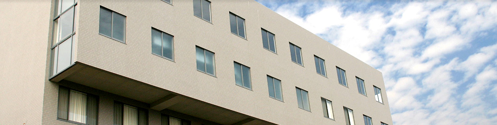 Faculty Members