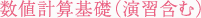 数値計算基礎（演習含む）