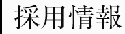 採用情報