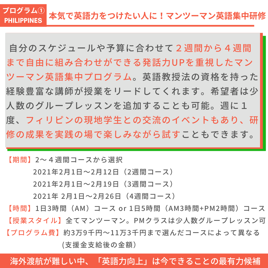 2020年度に実施したマンツーマン英語プログラム<参考資料>