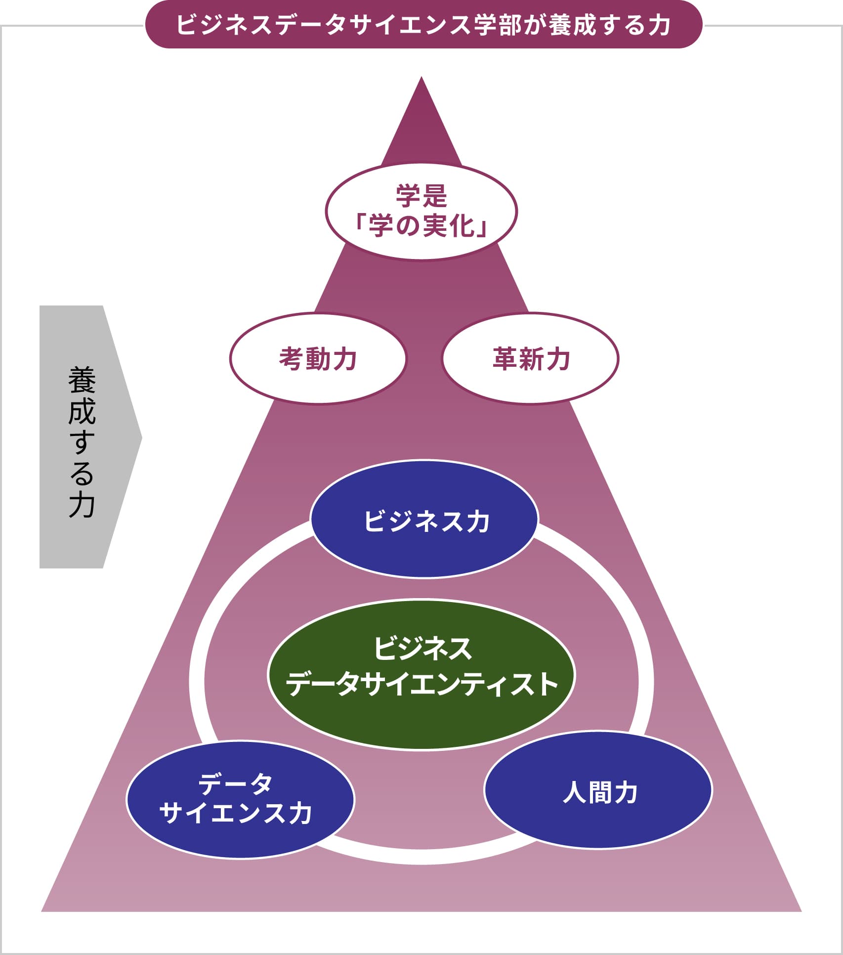図：ビジネスデータサイエンス学部が養成する力