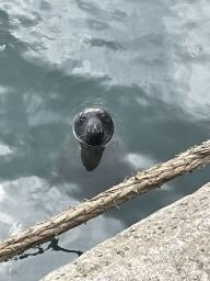 Image (2)_256.jpg