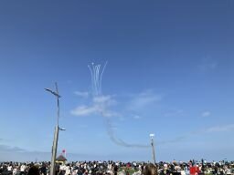 Image (6)_256.jpg