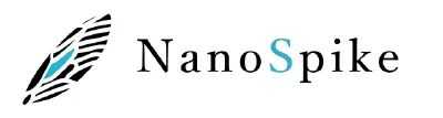 株式会社ナノスパイク