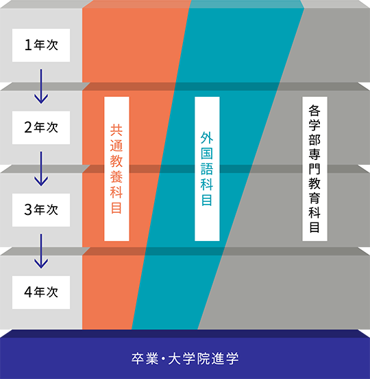 4年間の学修イメージ