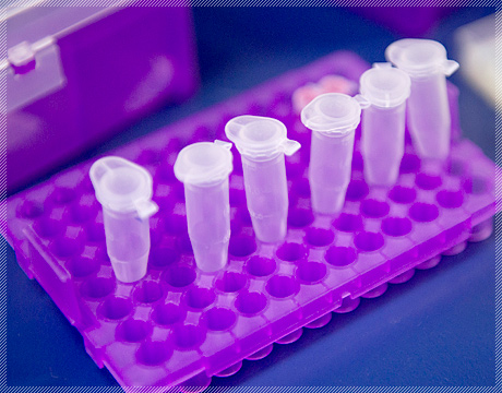 “Human-friendly materials that reach the target lesion”