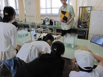 0626IMG_1134.JPG