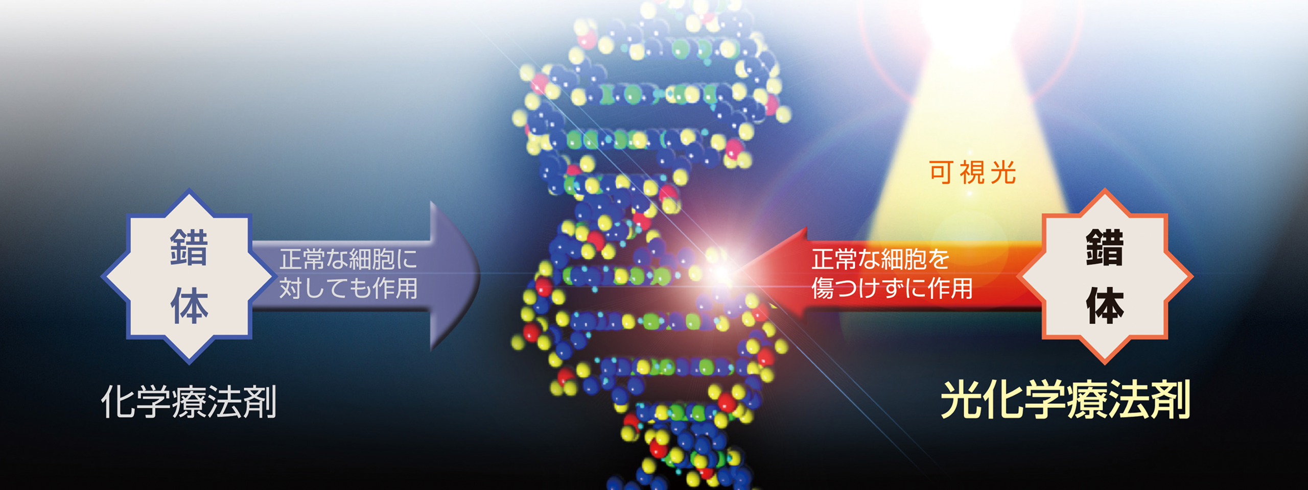 副作用のない制がん剤を目指す