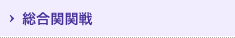 総合関関戦