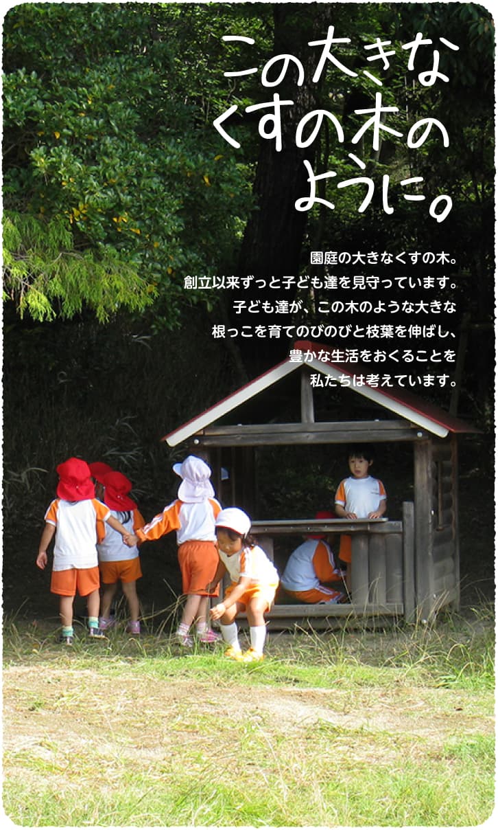 この大きなくすの木のように。