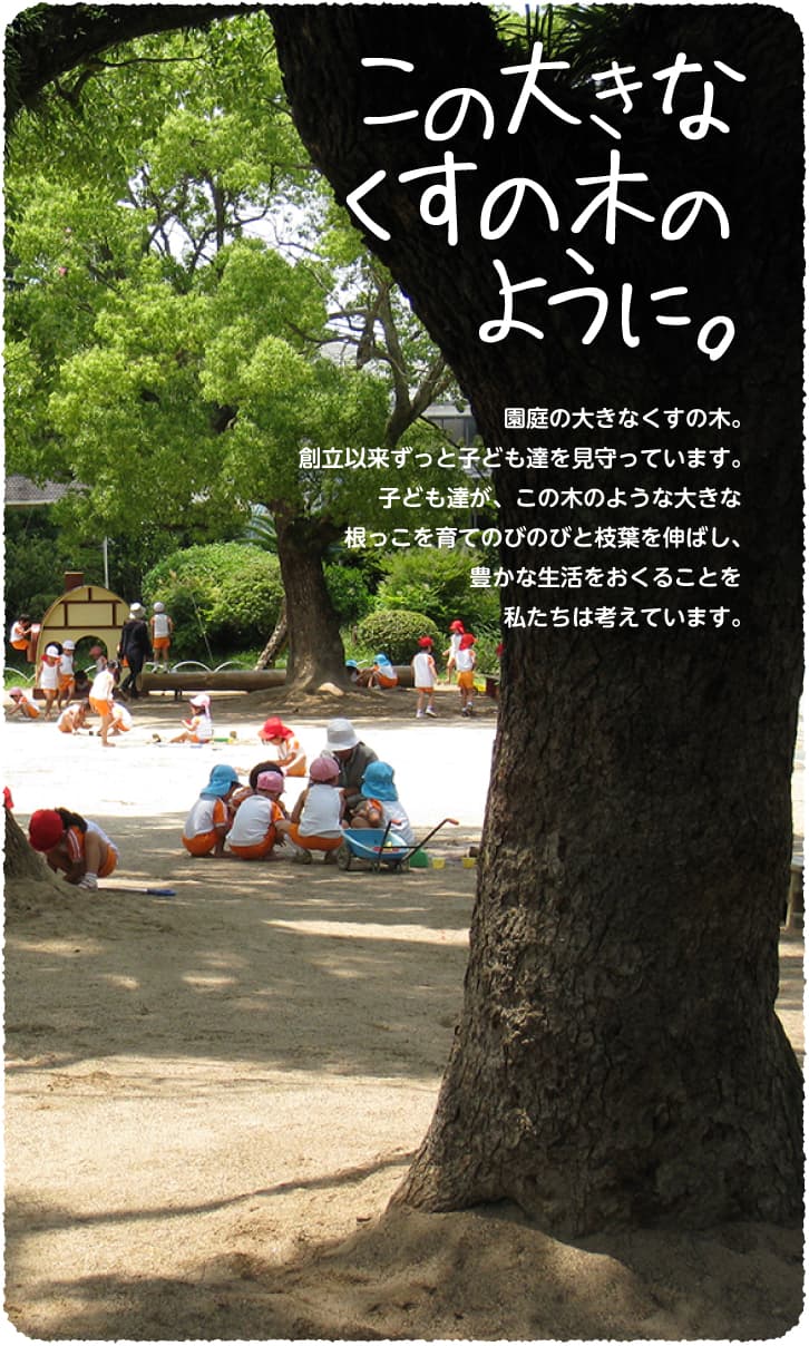この大きなくすの木のように。