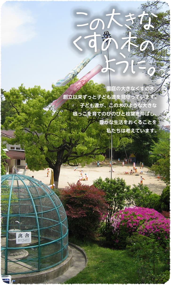この大きなくすの木のように。